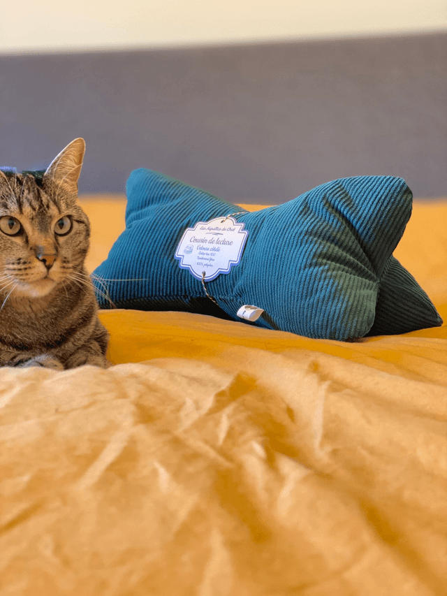 Coussin de lecture en velours côtelé