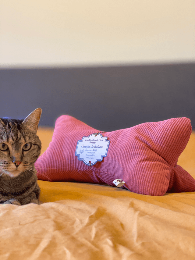 Coussin de lecture en velours côtelé